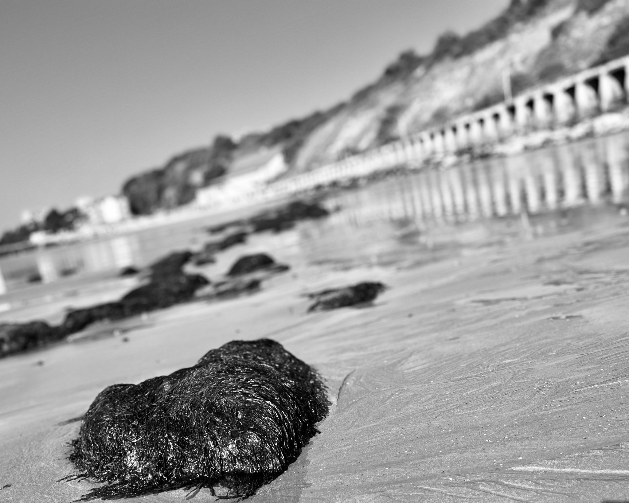 Folkestone